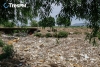 Aguas muertas: la lenta agonía de la Laguna en Tlachaloya