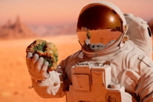 La Patata Marciana, el concurso de gastronomía espacial