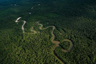 Da inicio la Cumbre de la Amazonia con un sólo objetivo: detener la devastación