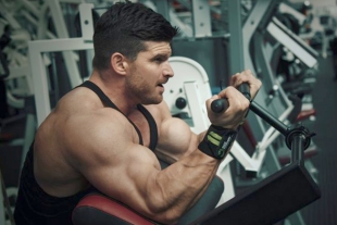 ¿Cómo actúan los esteroides en el cuerpo?