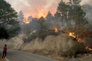 Urgen recursos para combatir incendios forestales