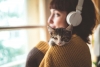 Conoce “MeowTalk”, la app que traduce los maullidos de tu gato