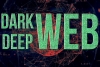 Qué es la Deep Web y en qué se diferencia de la Dark Web