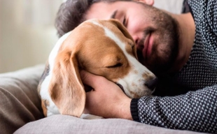 ¿Será? Dormir con un perro podría traer beneficios para tu salud