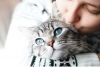 Lo dice la ciencia: los gatos sí reconocen su nombre, pero prefieren ignorarte