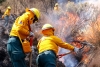 Sofocan 74 incendios forestales en Edoméx en lo que va del año