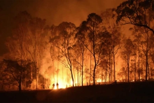 Incendios en Australia obligan a pobladores a huir de casa