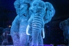 Un circo alemán sustituye animales cautivos por hologramas