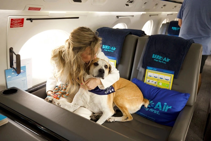 BARK Air iniciará con rutas entre el aeropuerto del condado de Westchester, en Nueva York