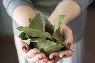 Ritual de laurel y azúcar del Feng Shui para la buena suerte