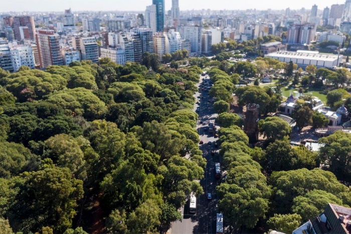 Árboles: grandes aliados para refrescar las ciudades del mundo
