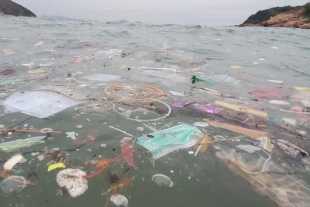 Residuos de vacunas, más contaminantes para los océanos