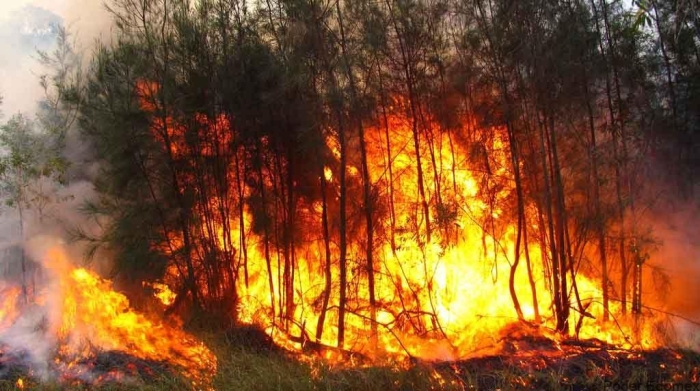 Edoméx, primer lugar en incendios forestales acumulados durante 2022