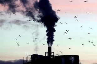 Buscan empresas neutralidad en carbono para 2040