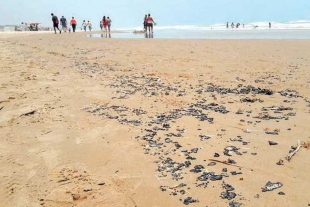 Chapopote llega a playas de Veracruz y Tamaulipas 