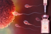 Vacuna anti Covid no incide en la fertilidad
