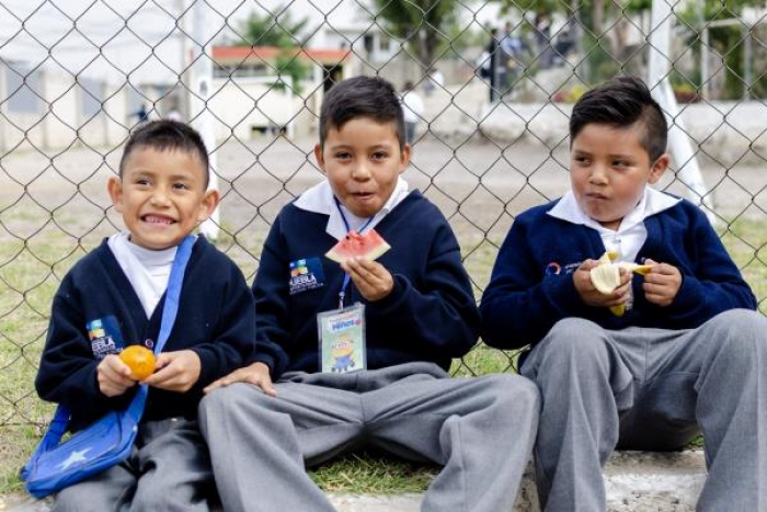 Proponen que Nutrición sea materia de educación básica