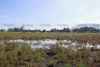 Lluvias ayudan a la Laguna de Ojuelos