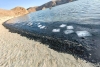 ¡Terrible! Playa balandra se tiñe de negro y autoridades declaran contingencia ambiental