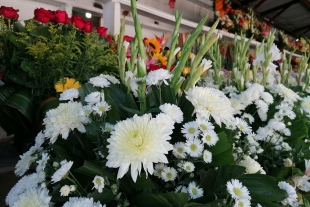 ¡Se recuperan! Comerciantes de flores lograron ventas del 80%