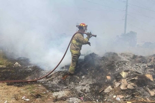 Vecinos de la zona, al percatarse de la densa cortina de humo blanco, dieron aviso a los bomberos, quienes acudieron de inmediato al lugar.