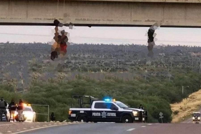 Dejan tres cuerpos colgados en puente de Zacatecas