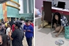 Sismo de magnitud 7.4 sacude al sur de Indonesia