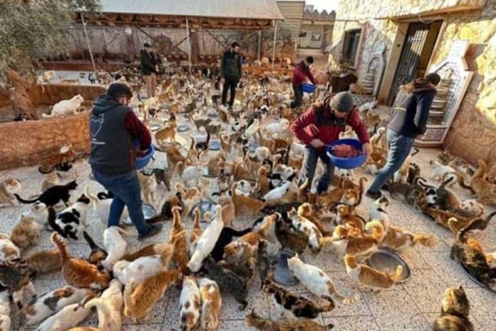 Santuario de Ernesto, el refugio que rescata animales sin hogar por el terremoto en Siria