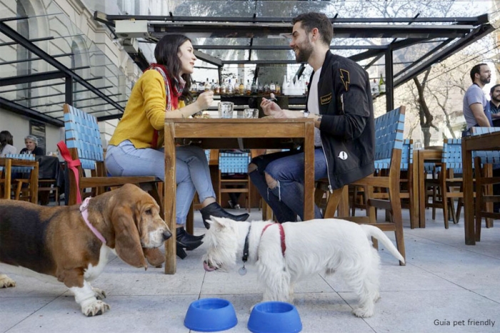 5 lugares Pet Friendly en Toluca