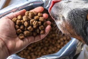 Cada propietario debe saber que el orden de los ingredientes tiene que enumerarse en forma decreciente