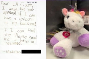 Awwww: Dan la primera &#039;licencia de unicornio&#039; luego de que una niña pidiera permiso de tener uno