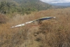Fallece piloto estadounidense de Ala Delta en Temascaltepec