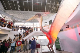 “Dragón de la Muerte”: Descubren al reptil volador más grande de Sudamérica