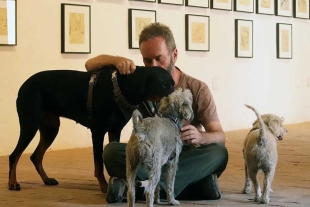 Museo Histórico de Querétaro le abre sus puertas a las mascotas