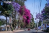 Calles coloridas