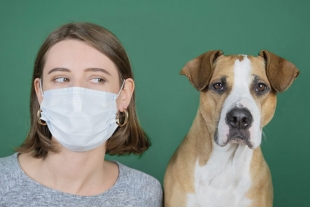 ¿Habrá una vacuna contra el coronavirus para nuestras mascotas?