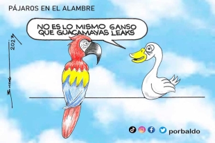 Pájaros en el alambre