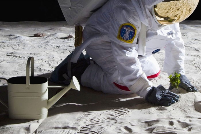 ¡Wow! Científicos descubren cómo cultivar plantas en la Luna