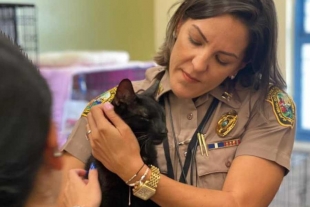 Milagro gatuno: rescatan a gatito entre los escombros del edificio en Miami