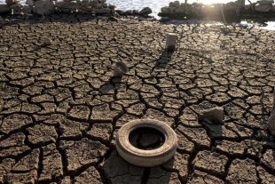 Si no se toman medidas, habrá sequías extremas cada año hasta 2043: Unión Europea