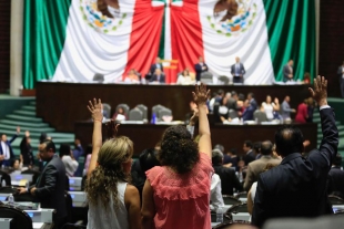 “Ya cayó”: celebraron diputados al derogar la Reforma Educativa la madrugada de este jueves