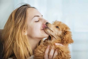 Hígado y pulmones, los órganos afectados por los besos de tus mascotas: UNAM