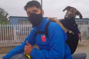 Joven repartidor adopta a perrita y se convierte en su fiel acompañante