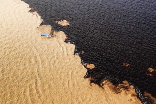 Río Negro, el mayor afluente del Amazonas, registra el menor caudal de su historia