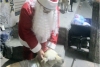 ¡Aplausos! refugio en Ecatepec organizó una cena navideña a perritos callejeros