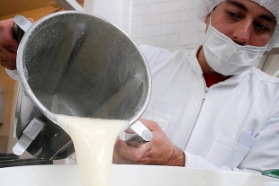 Buscan crear combustibles limpios con suero de leche