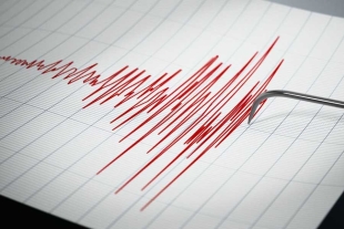 Un sismo de magnitud 5.9 se registró este sábado en Tlacolula, Oaxaca y fue percibido en la Ciudad de México.