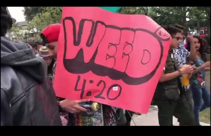 Defienden la marihuana con marcha canábica en Toluca