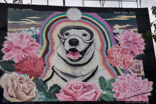 Ledesma Alpízar explicó que ésta coincide con el cumpleaños de “Frida”