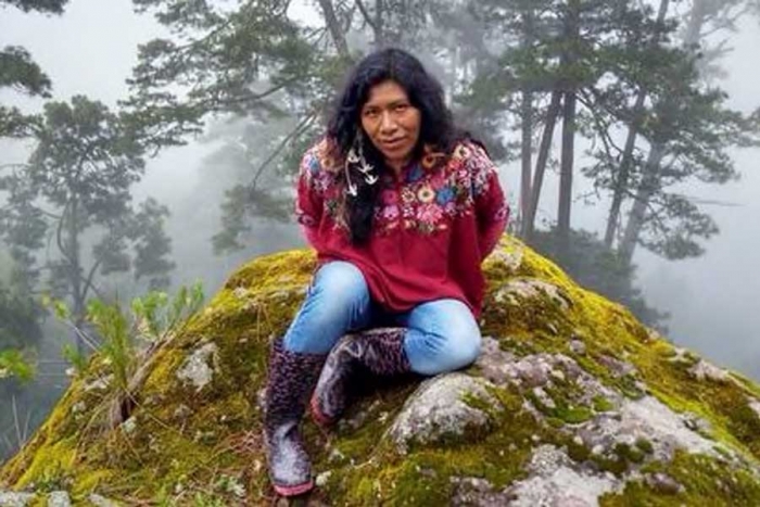¡Terrible! Reportan la desaparición de Irma Galindo, defensora de los bosques de Oaxaca